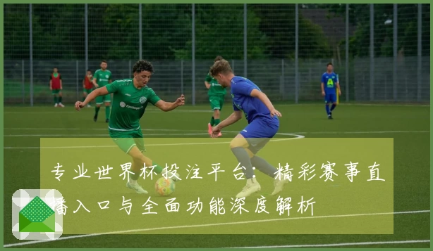 专业世界杯投注平台:精彩赛事直播入口与全面功能深度解析