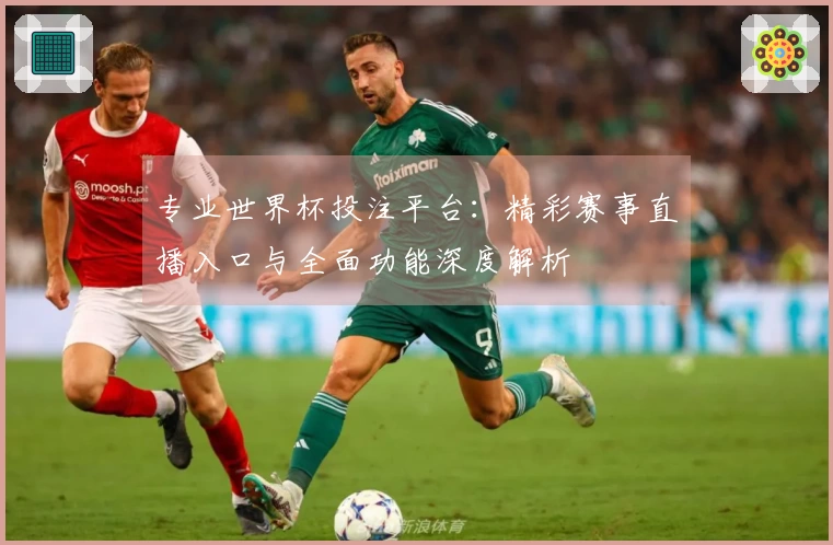 专业世界杯投注平台：精彩赛事直播入口与全面功能深度解析