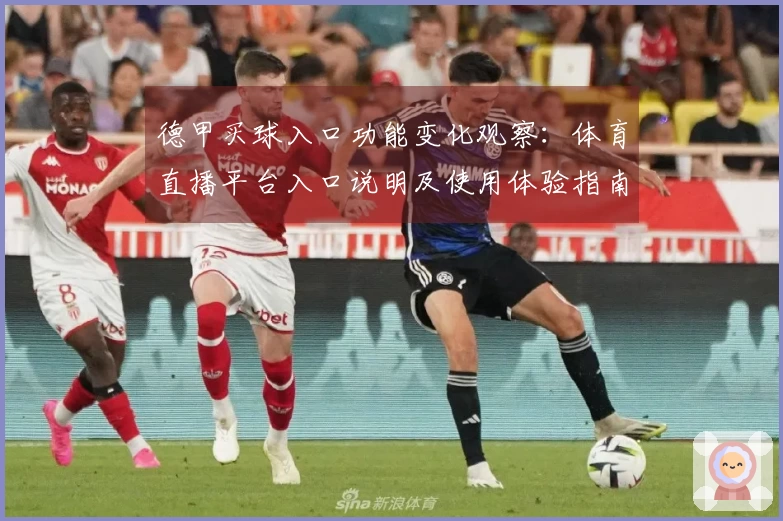 德甲买球入口功能变化观察：体育直播平台入口说明及使用体验指南