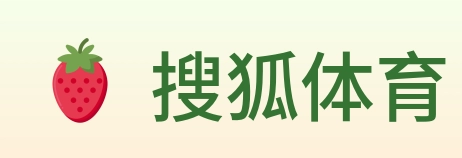 搜狐体育 logo